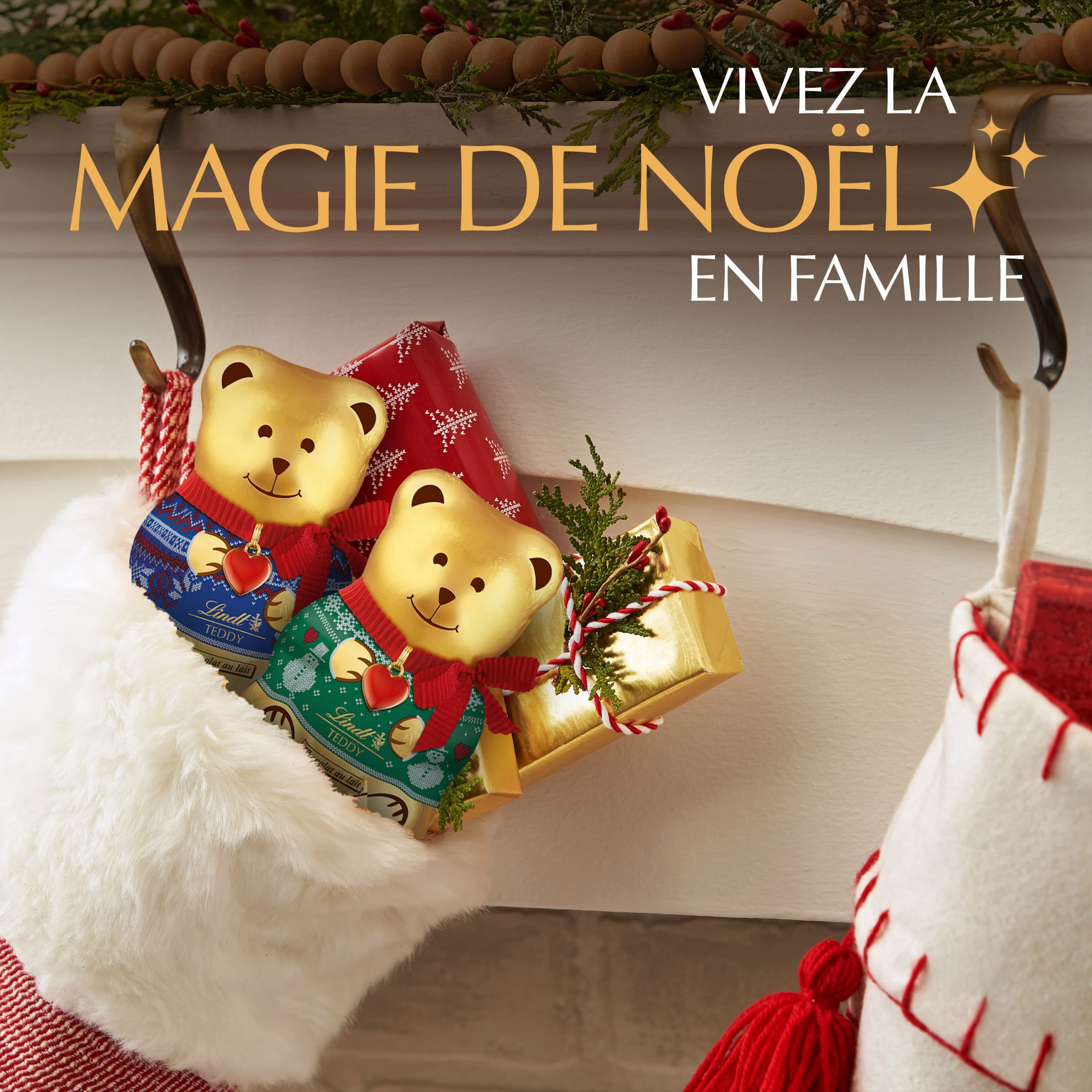 Teddy Pull – Image 2