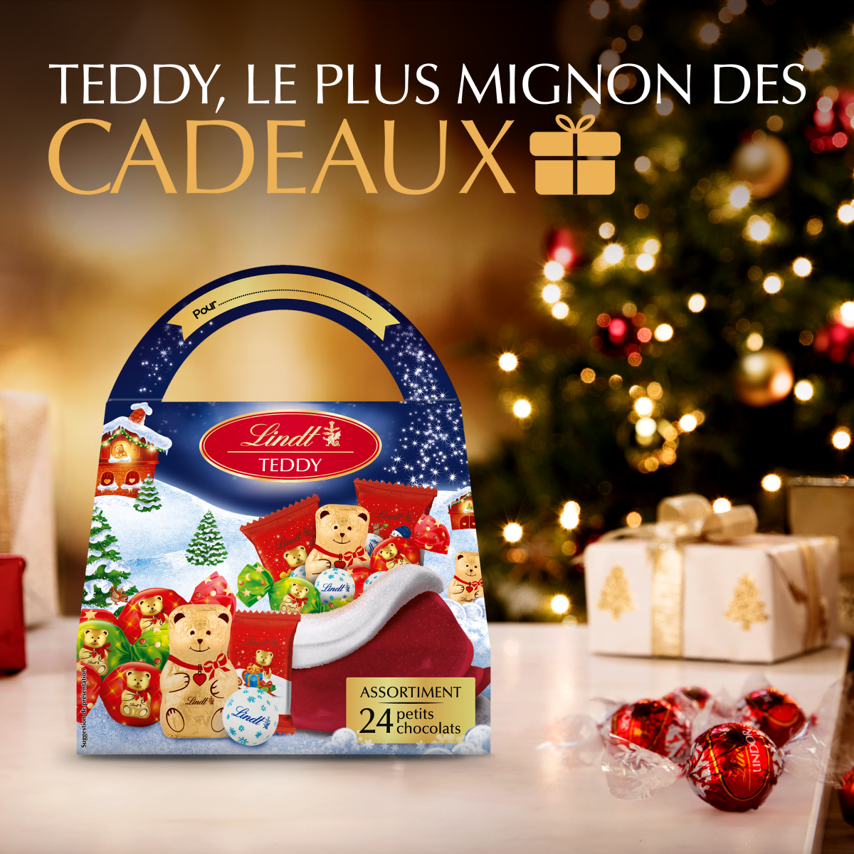 Teddy Hotte – Image 2