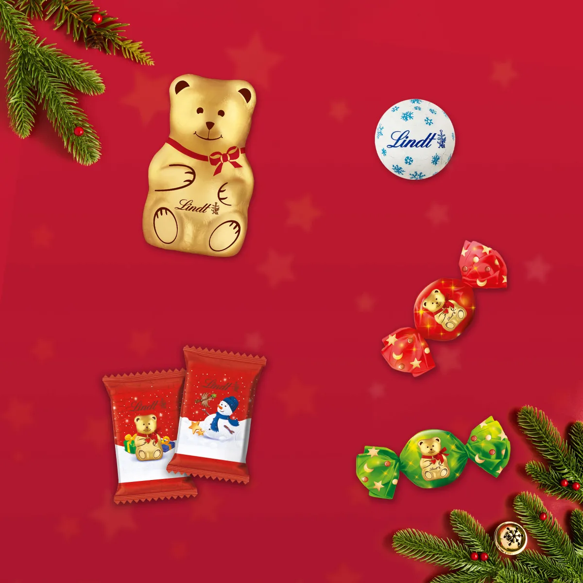 Teddy Hotte – Image 4