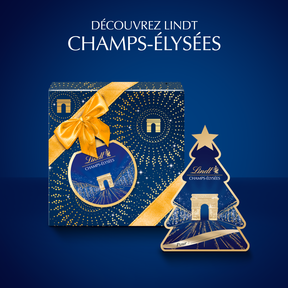 Sapin Champs-Élysées – Image 5