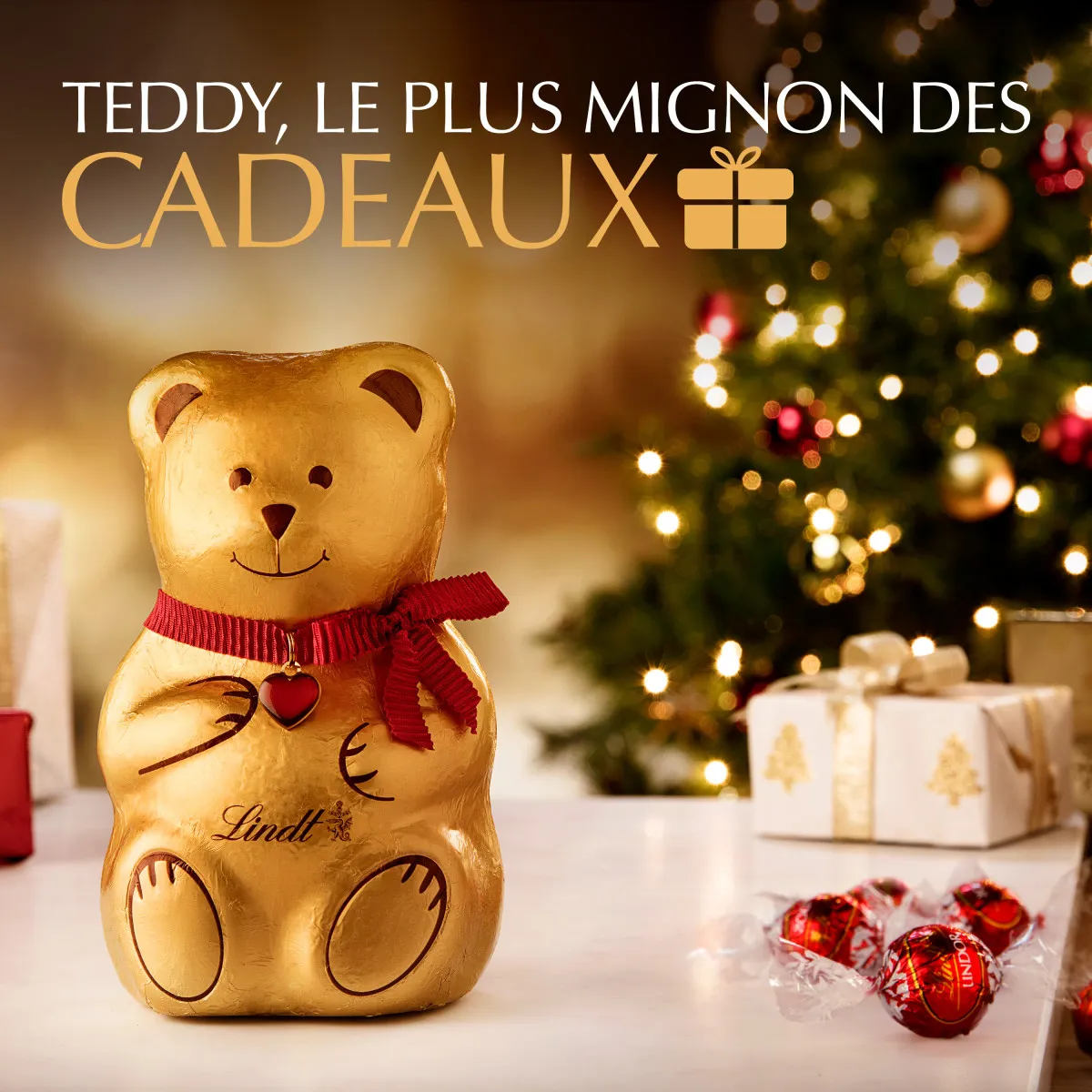 Teddy lait – Image 3