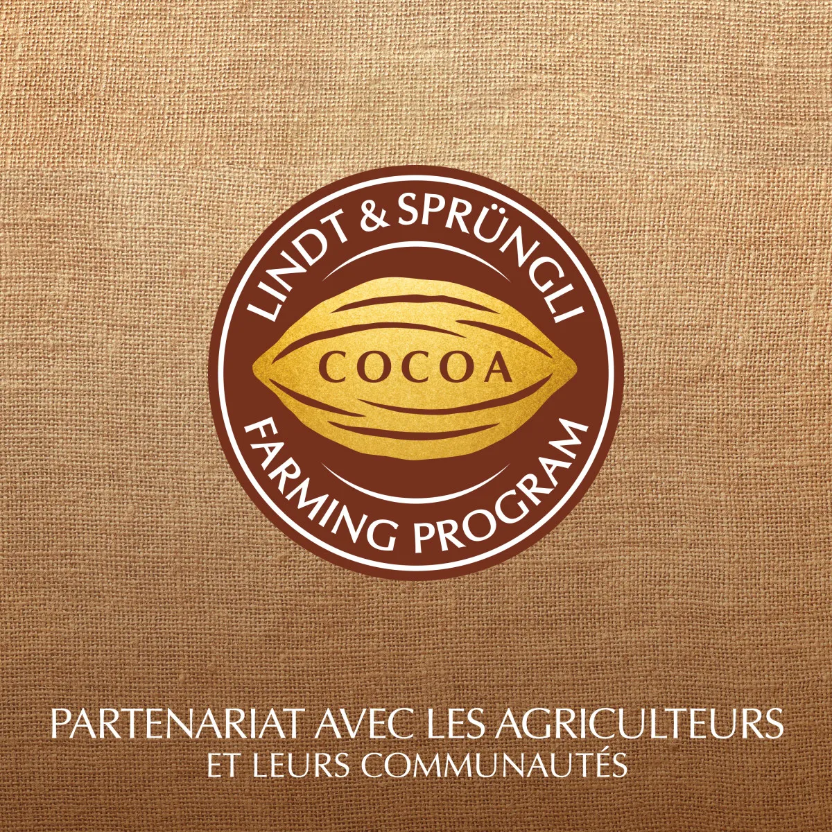 Cornet LINDOR - Assorti Gourmand 562g – Image 10