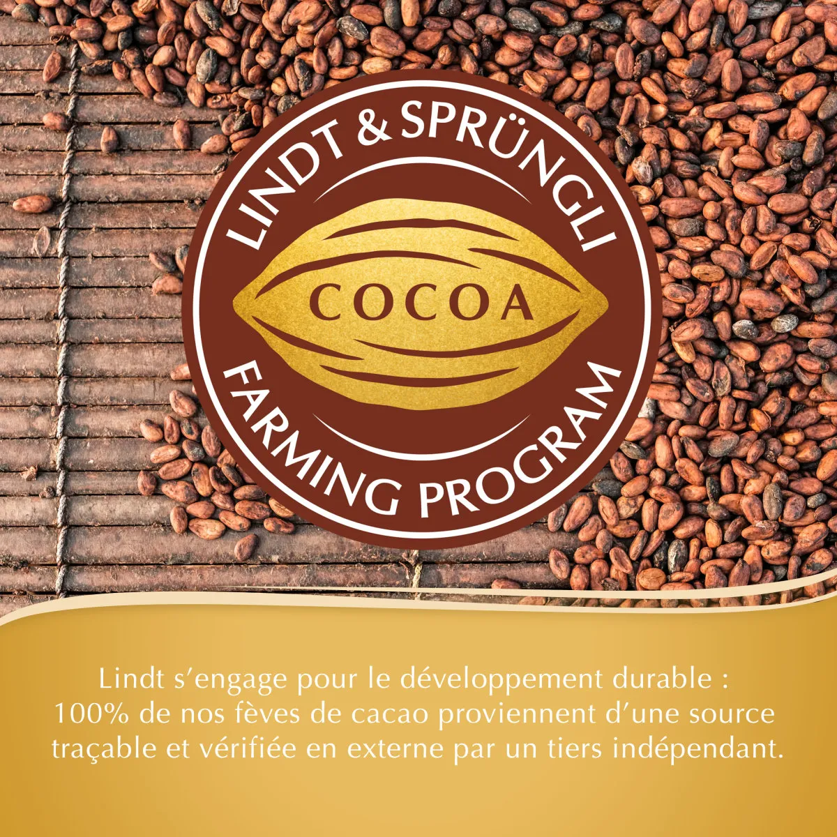 Coffret Champs-Élysées - Édition Étoile 465g – Image 10