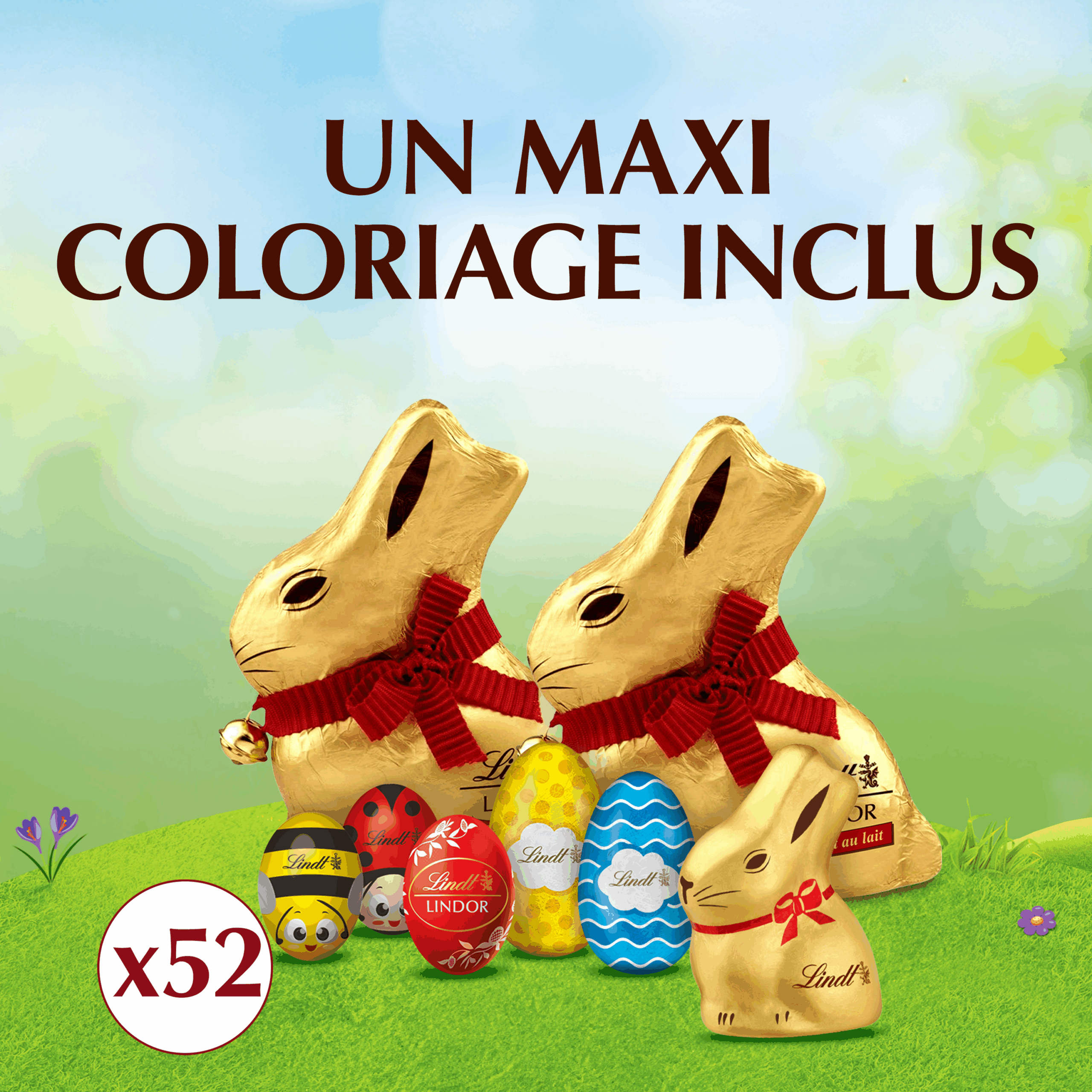 Kit Chasse Aux Œufs 582G – Image 5