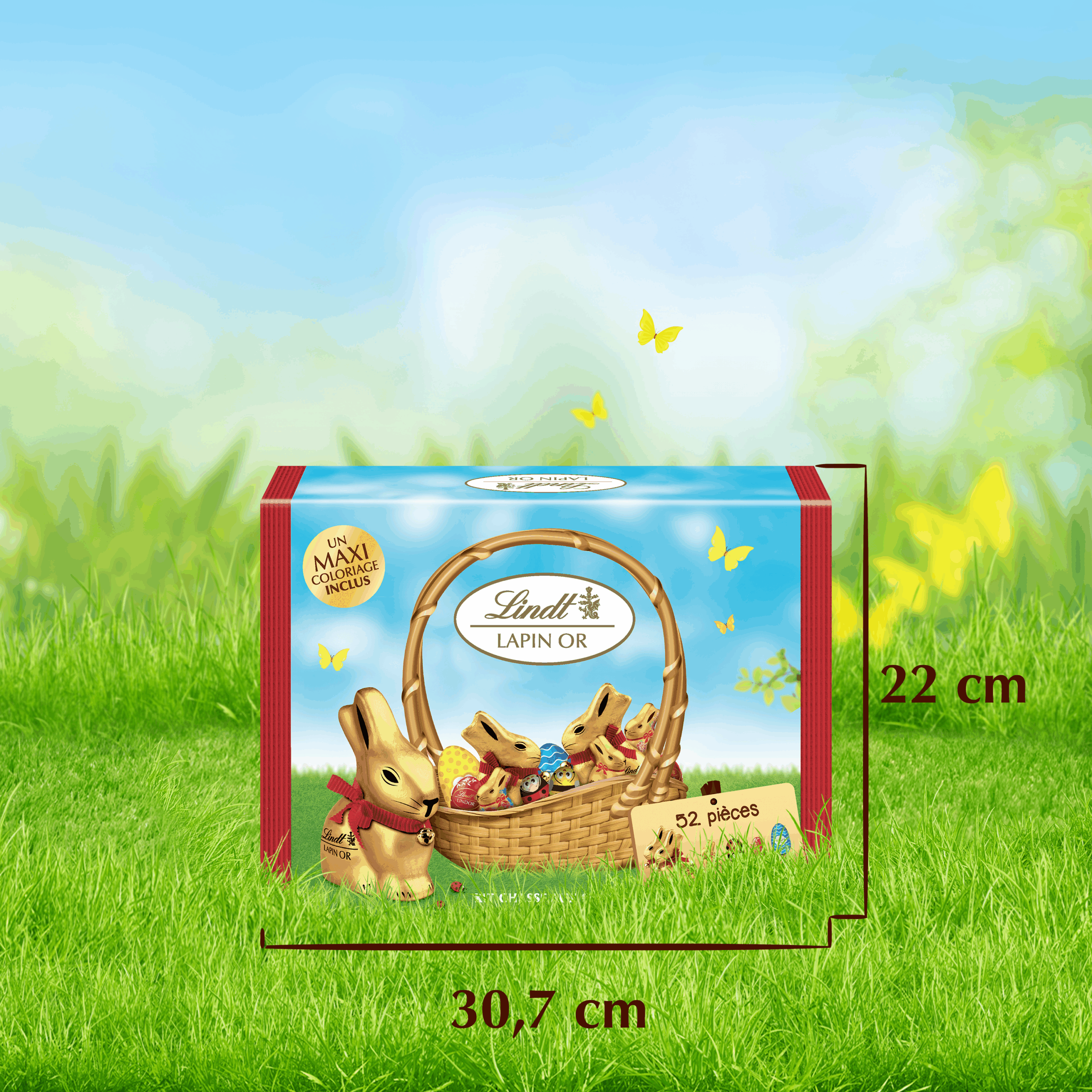 Kit Chasse Aux Œufs 582G – Image 4