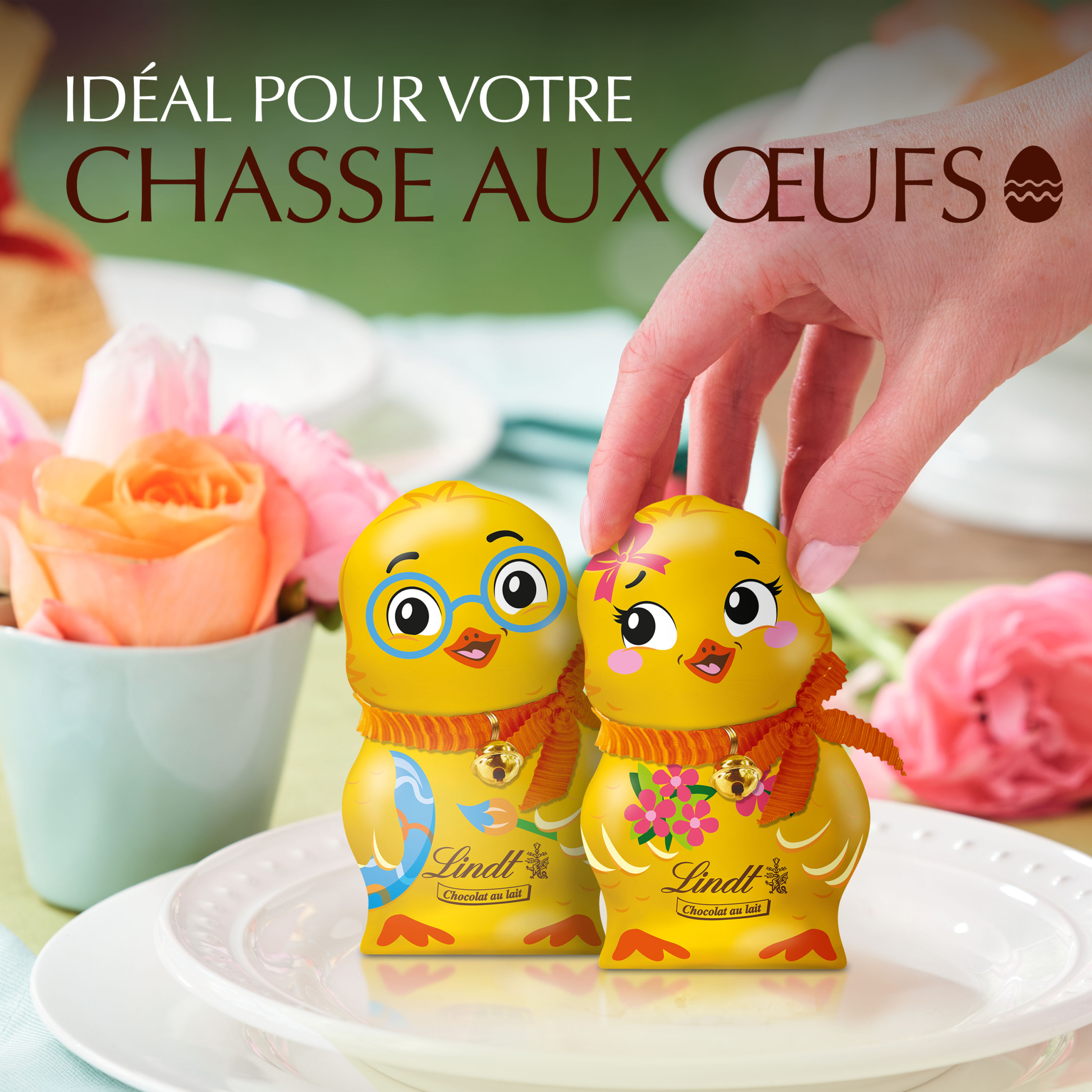 Les poussins 100g – Image 7