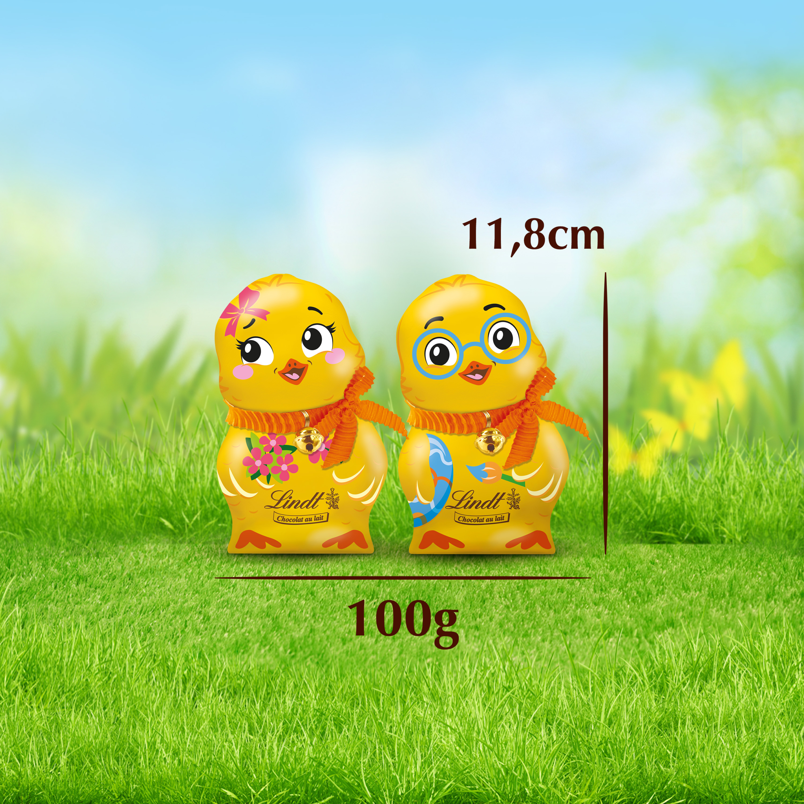 Les poussins 100g – Image 5