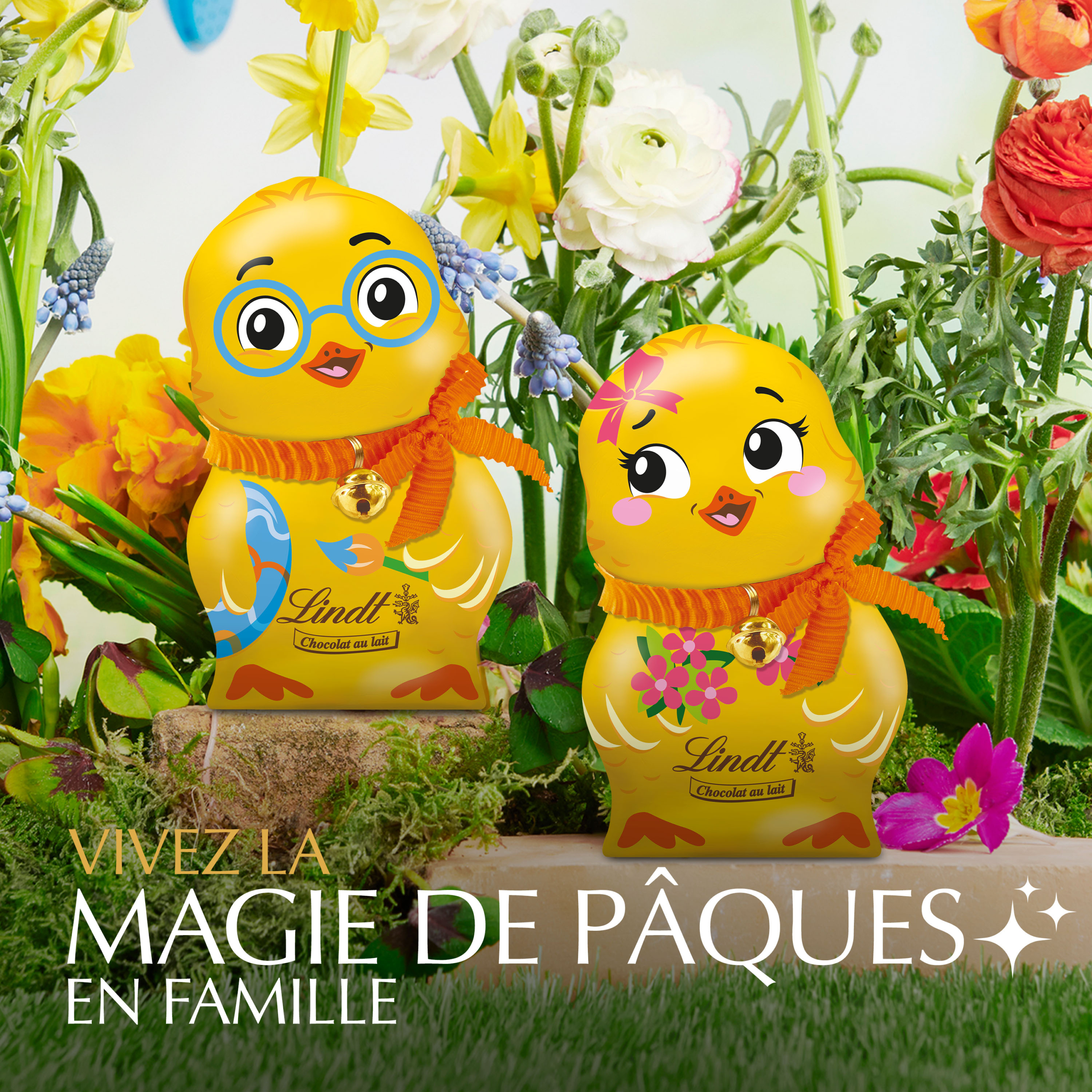 Les poussins 100g – Image 6