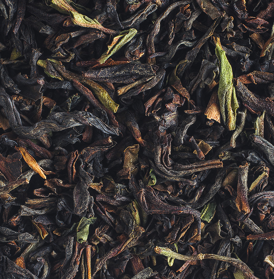 Darjeeling Himalaya – Boîte 25 Sachets Berlingo – Image 2
