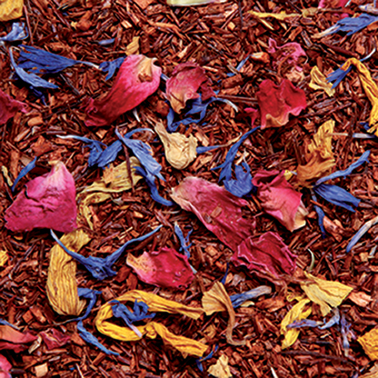 Fruits & Fleurs du Soleil – Boîte 25 Sachets Berlingo – Image 2